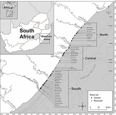 Multi-decade catches of manta rays (Mobula alfredi, M. birostris) from South Africa reveal significant decline